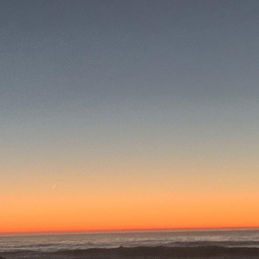 Meet your Posher, Lia